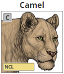 camel.png