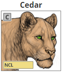 cedar.png