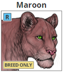 maroon.png