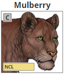 mulberry.png