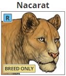 nacarat.png