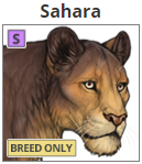 sahara.png