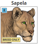 sapela.png