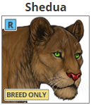 shedua.png