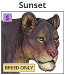 sunset.png